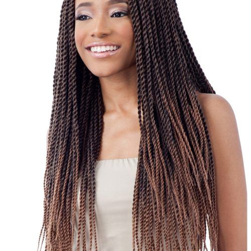 Straight Mini Braids With Ombre (Photo 11 of 20)