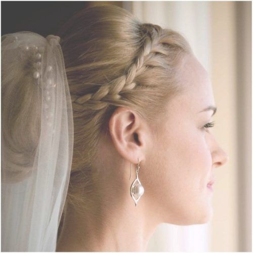Wedding Hairstyles With Tiara And Veil (Photo 9 of 15)