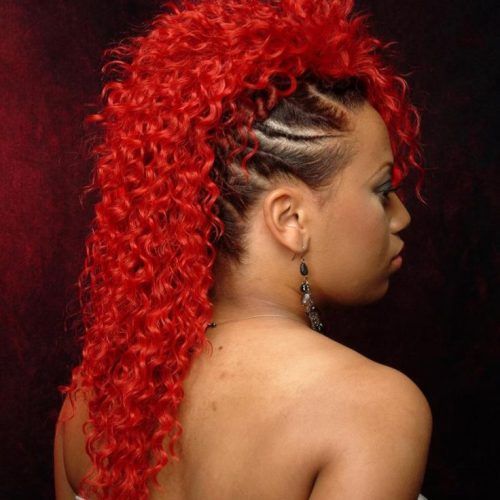 Faux Mohawk Hairstyles With Springy Curls (Photo 5 of 20)