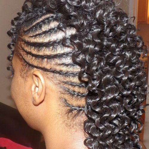 Box Braids And Cornrows Mohawk Hairstyles (Photo 13 of 15)
