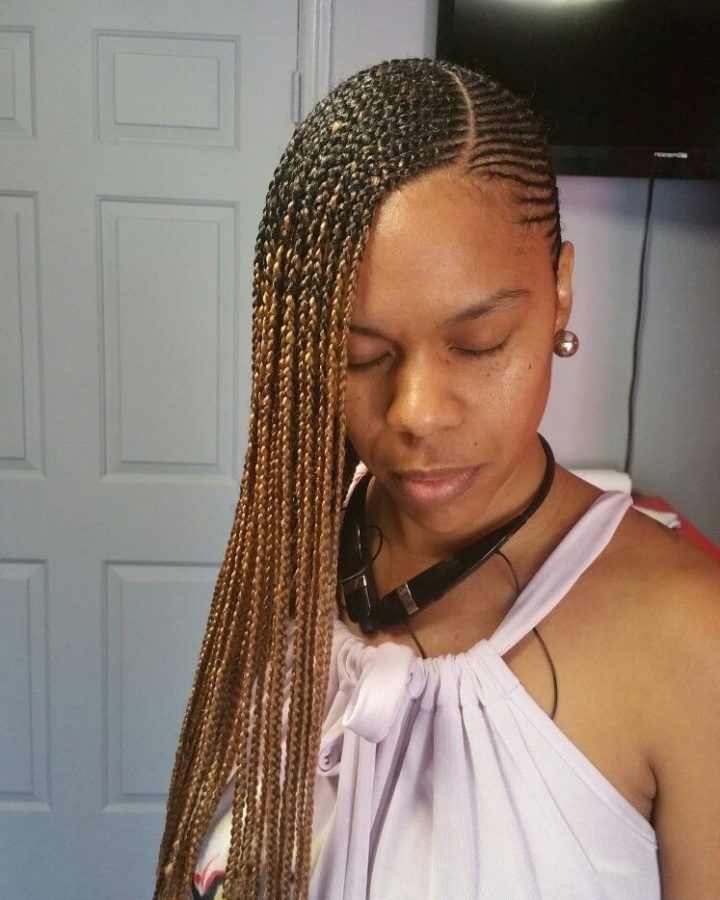 15 Photos Beyonce Braided Hairstyles