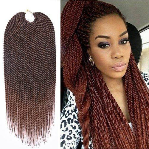 Black And Brown Senegalese Twist Hairstyles (Photo 2 of 20)