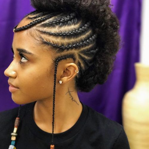 Braided Hairstyles For Natural Hair (Photo 12 of 15)