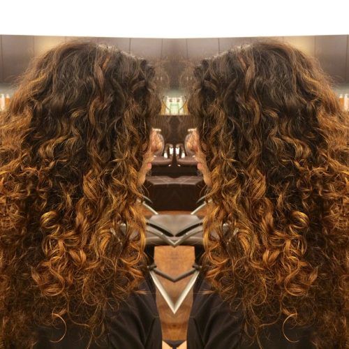 Copper Curls Balayage Hairstyles (Photo 20 of 20)