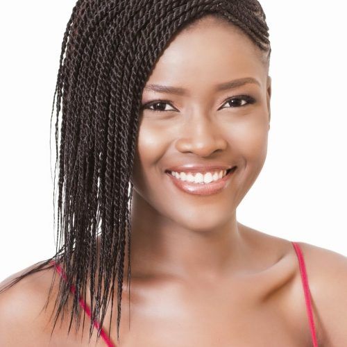 Cornrows Hairstyles For Small Heads (Photo 9 of 15)