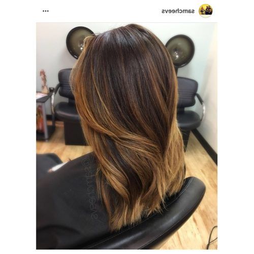 Dark Roots Blonde Hairstyles With Honey Highlights (Photo 12 of 20)