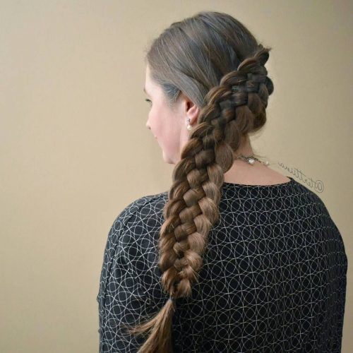 Diagonal Two French Braid Hairstyles (Photo 4 of 15)
