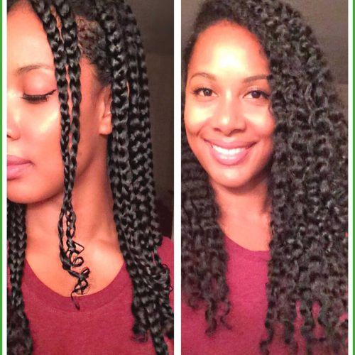 Naturally Curly Braided Hairstyles (Photo 11 of 20)