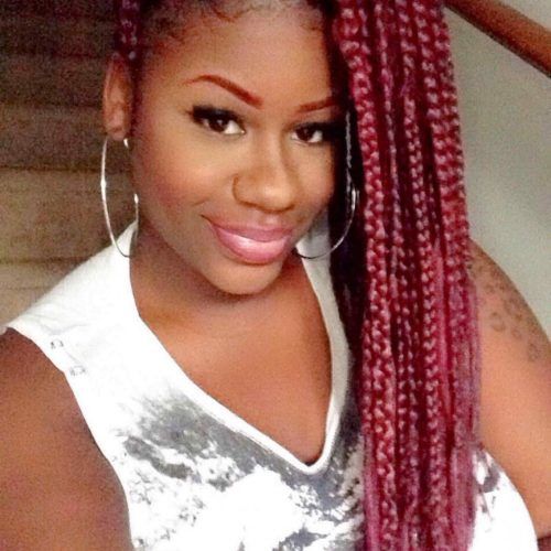 Poetic Justice Braids Hairstyles (Photo 13 of 15)