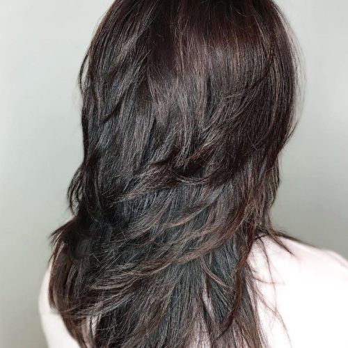 Shiny Black Haircuts With Flicked Layers (Photo 1 of 20)