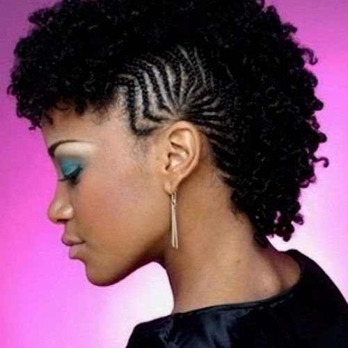 Small Braids Mohawk Hairstyles (Photo 11 of 20)