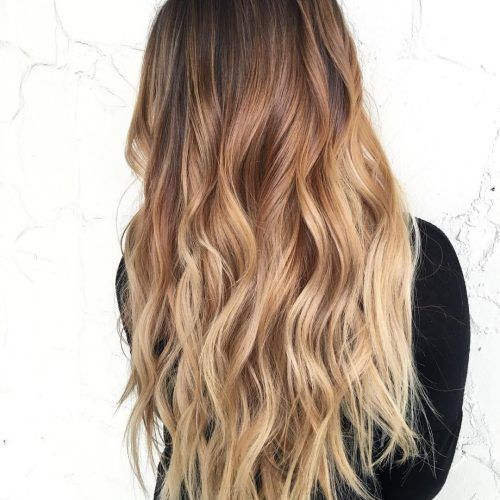 Subtle Brown Blonde Ombre Hairstyles (Photo 5 of 20)