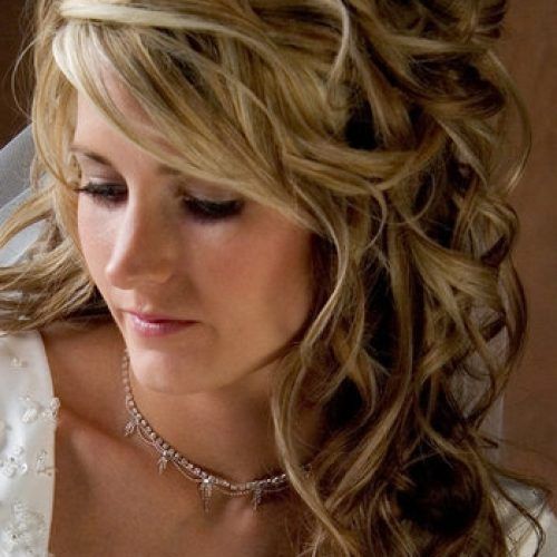 Wedding Hairstyles For Long Curly Hair With Veil (Photo 11 of 15)