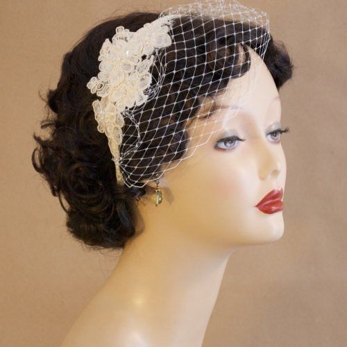 Wedding Hairstyles For Long Hair With Birdcage Veil (Photo 11 of 15)