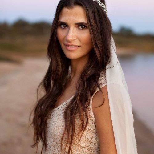 Wedding Hairstyles For Long Straight Hair With Veil (Photo 3 of 15)