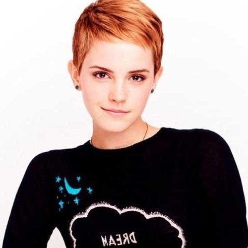 Cropped Pixie Haircuts (Photo 13 of 20)