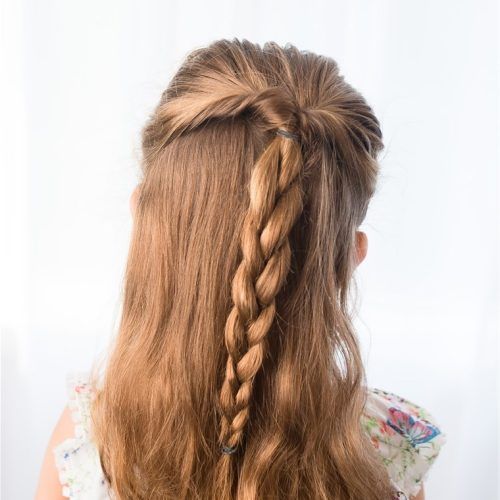 Braided Along The Way Hairstyles (Photo 15 of 20)