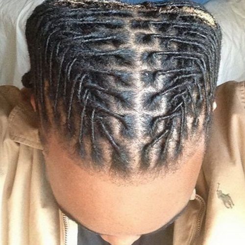 Braided Dreadlock Hairstyles For Women (Photo 14 of 15)