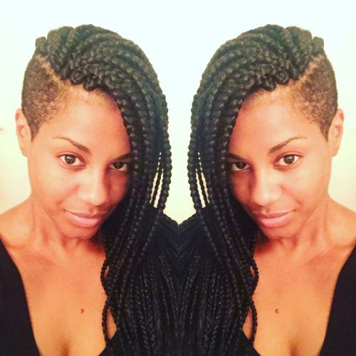 Braided Hairstyles With Tapered Sides (Photo 2 of 15)