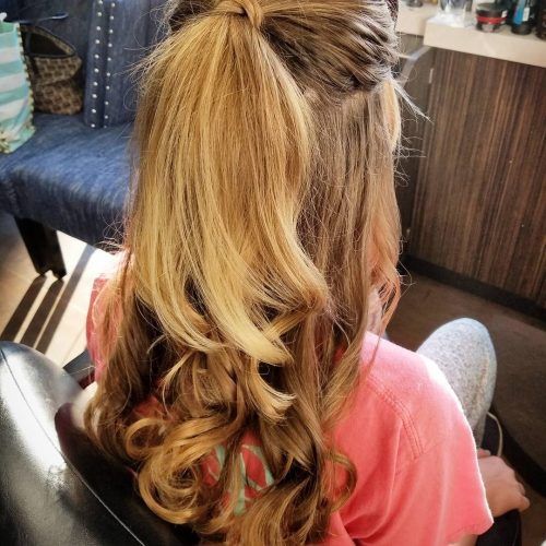 Brunette Prom Ponytail Hairstyles (Photo 16 of 20)