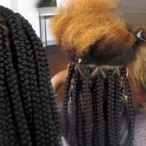 Colorful Cornrows Under Braid Hairstyles (Photo 14 of 20)