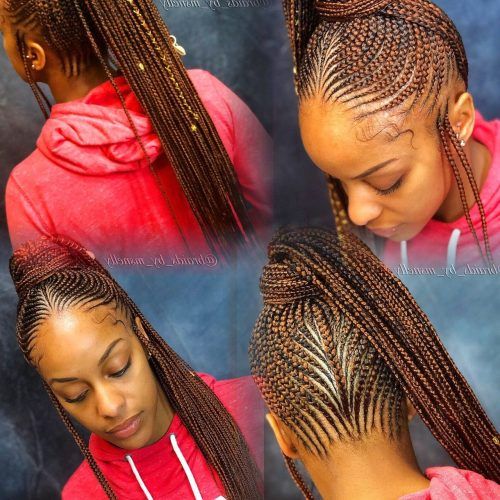 Cornrow Ombre Ponytail Micro Braid Hairstyles (Photo 19 of 20)