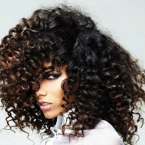 Deep Chocolate Curls Hairstyles With High Contrast Highlights (Photo 19 of 20)
