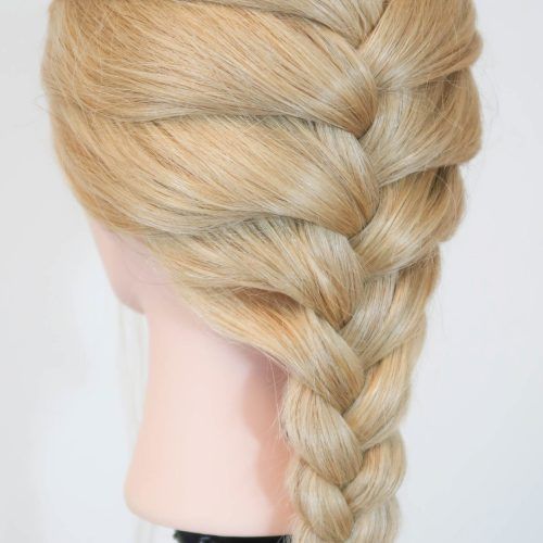 Defined French Braid Hairstyles (Photo 11 of 20)