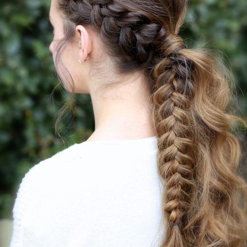 Fantastical French Braid Ponytail Hairstyles (Photo 6 of 20)