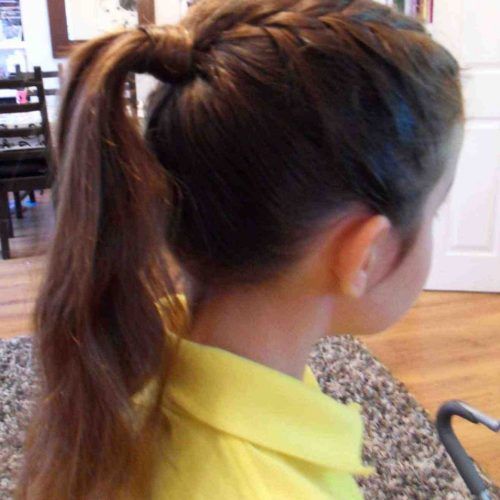 French Braid Hairstyles With Ponytail (Photo 13 of 20)