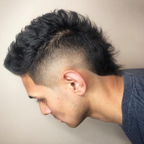 Gray Faux Hawk Hairstyles (Photo 1 of 20)
