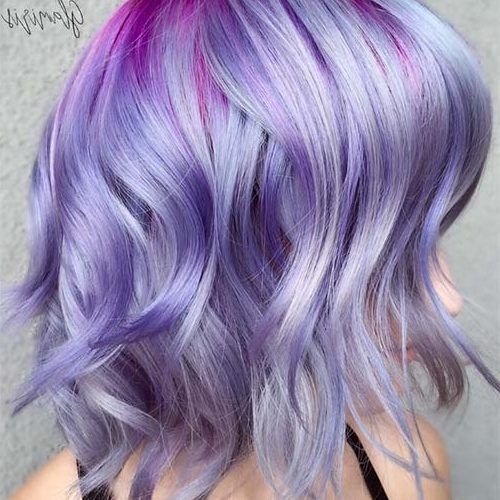 Lavender Pixie-Bob Haircuts (Photo 8 of 15)