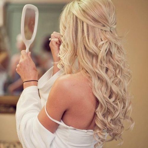 Long Hairstyles For Weddings Hair Down (Photo 11 of 15)