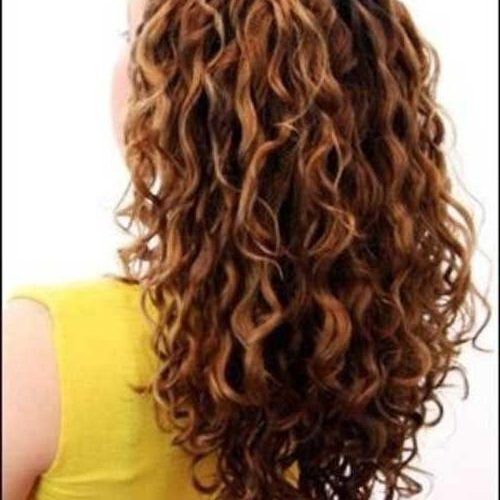 Long Hairstyles With Layers And Curls (Photo 4 of 20)