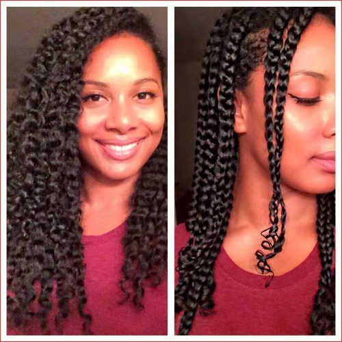 Micro Braided Hairstyles (Photo 18 of 20)