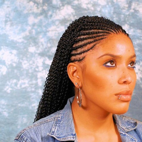 Micro Cornrows Hairstyles (Photo 1 of 15)