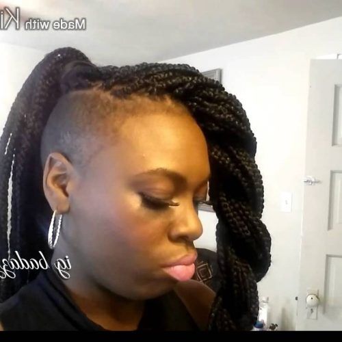 One Side Shaved Braided Hairstyles (Photo 6 of 15)