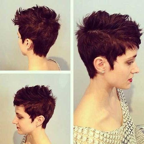 Pixie Haircuts Colors (Photo 3 of 20)