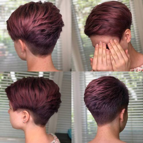 Sculptured Long Top Short Sides Pixie Hairstyles (Photo 19 of 20)