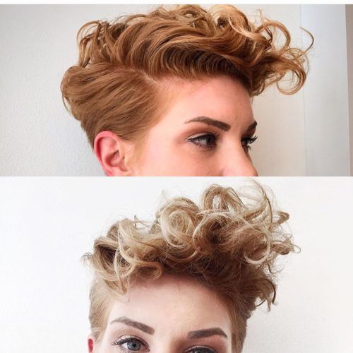 Short And Curly Faux Mohawk Hairstyles (Photo 8 of 20)