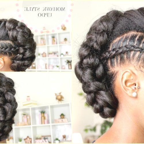 Side Braided Curly Mohawk Hairstyles (Photo 11 of 20)