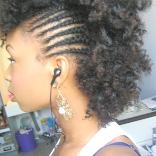 Side Braided Curly Mohawk Hairstyles (Photo 7 of 20)