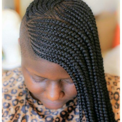 Side-Shaved Cornrows Braids Hairstyles (Photo 12 of 21)