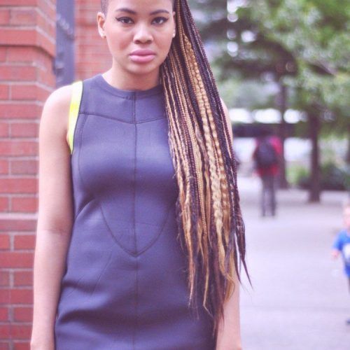 Side-Shaved Cornrows Braids Hairstyles (Photo 21 of 21)