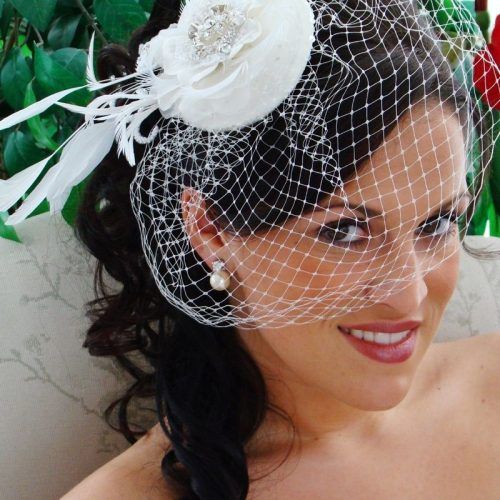 Wedding Hairstyles For Long Hair With Birdcage Veil (Photo 12 of 15)