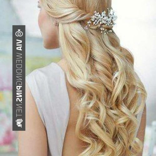 Beach Wedding Hairstyles For Long Curly Hair (Photo 6 of 15)