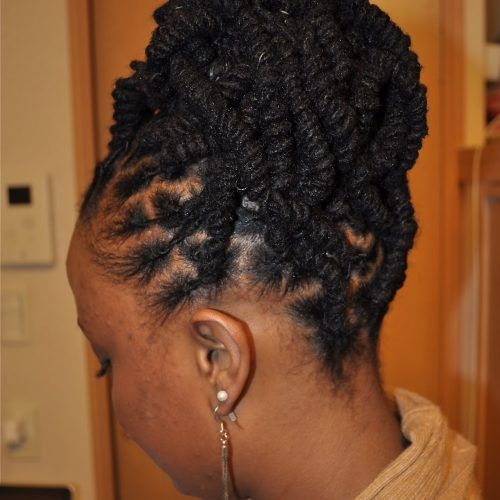 Braided Dreads Hairstyles For Women (Photo 15 of 15)