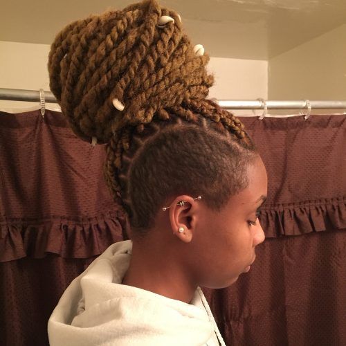 Braided Hairstyles With Tapered Sides (Photo 10 of 15)