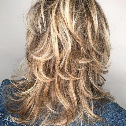 Bronde Shaggy Hairstyles With Feathered Layers (Photo 1 of 20)