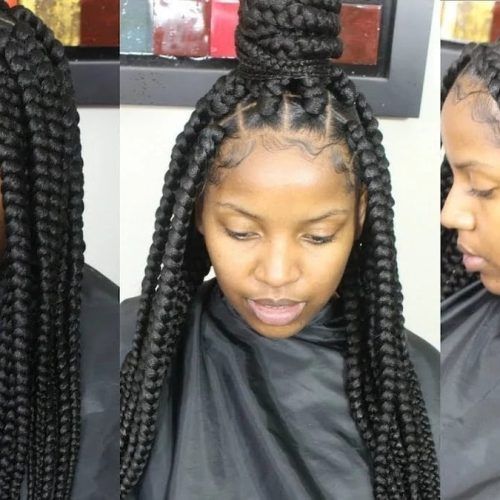 Centre Parted Long Plaits Braid Hairstyles (Photo 3 of 20)
